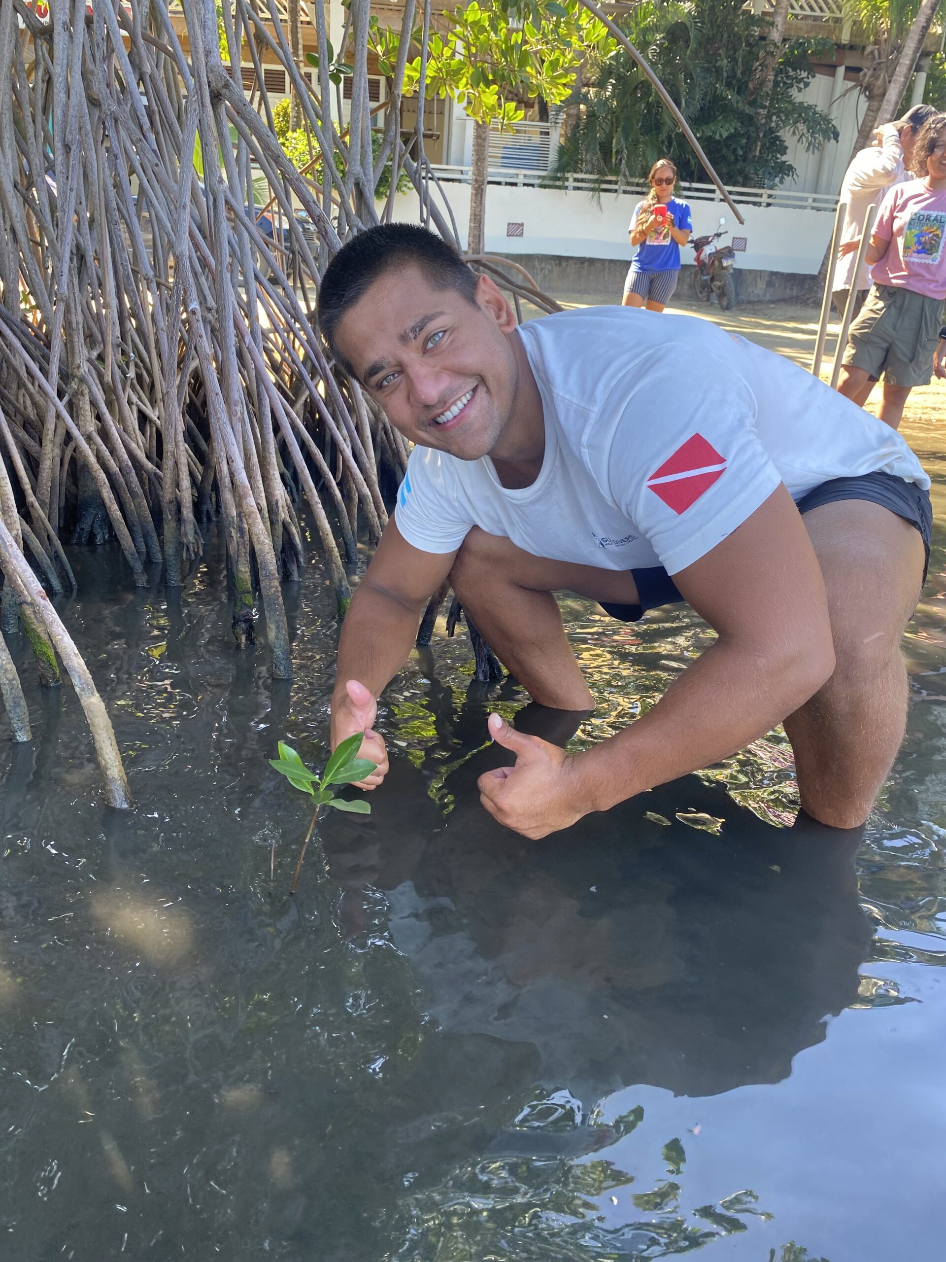 A young man give two thumbs up as he leans over a small mangrove sapling he's just planted in shallow water as part of the Sun Divers Eco Divemaster program.