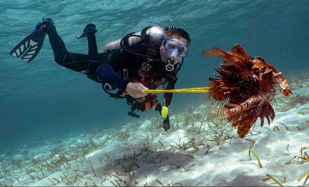 A diver holds out a spear with a lion fish on it while doing a lion fish hunting dive in Roatan, Honduras. 