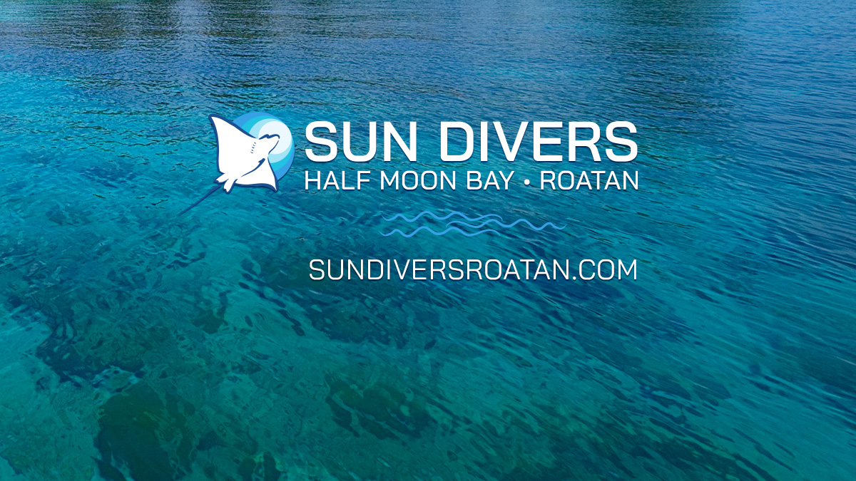 Roatan Scuba Diving and PADI Certification Courses Prices