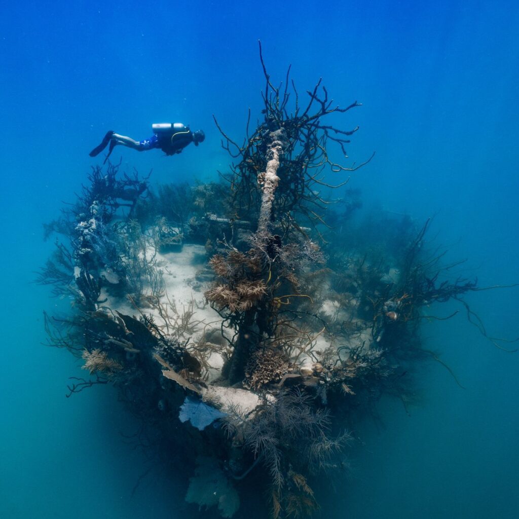 ‘Southside Days’ bring year-round diving in Roatan