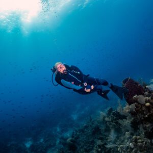 A female diver in a blue neoprene is diving above a coral reef with sponges and many fish in the back on Roatan island in Honduras.