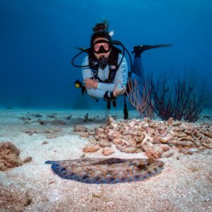 A diver wearing a blue shirt is crossing her arms and hovering above a flounder in Roatan, Honduras.