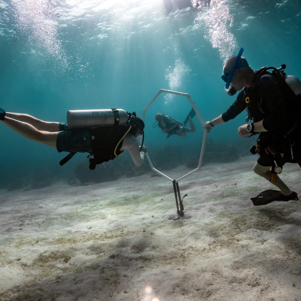 An instructor is teaching a scuba diver student during a PADI Peak Performance Buoyancy scuba certification.