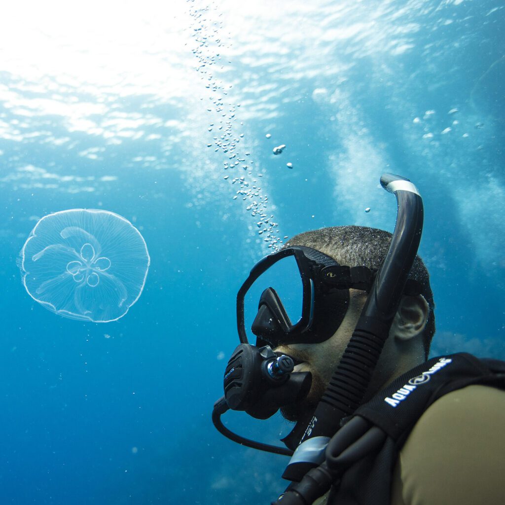 A scuba diver is floating above the impressive Prince Albert shipwreck that lies in Roatan, Honduras.