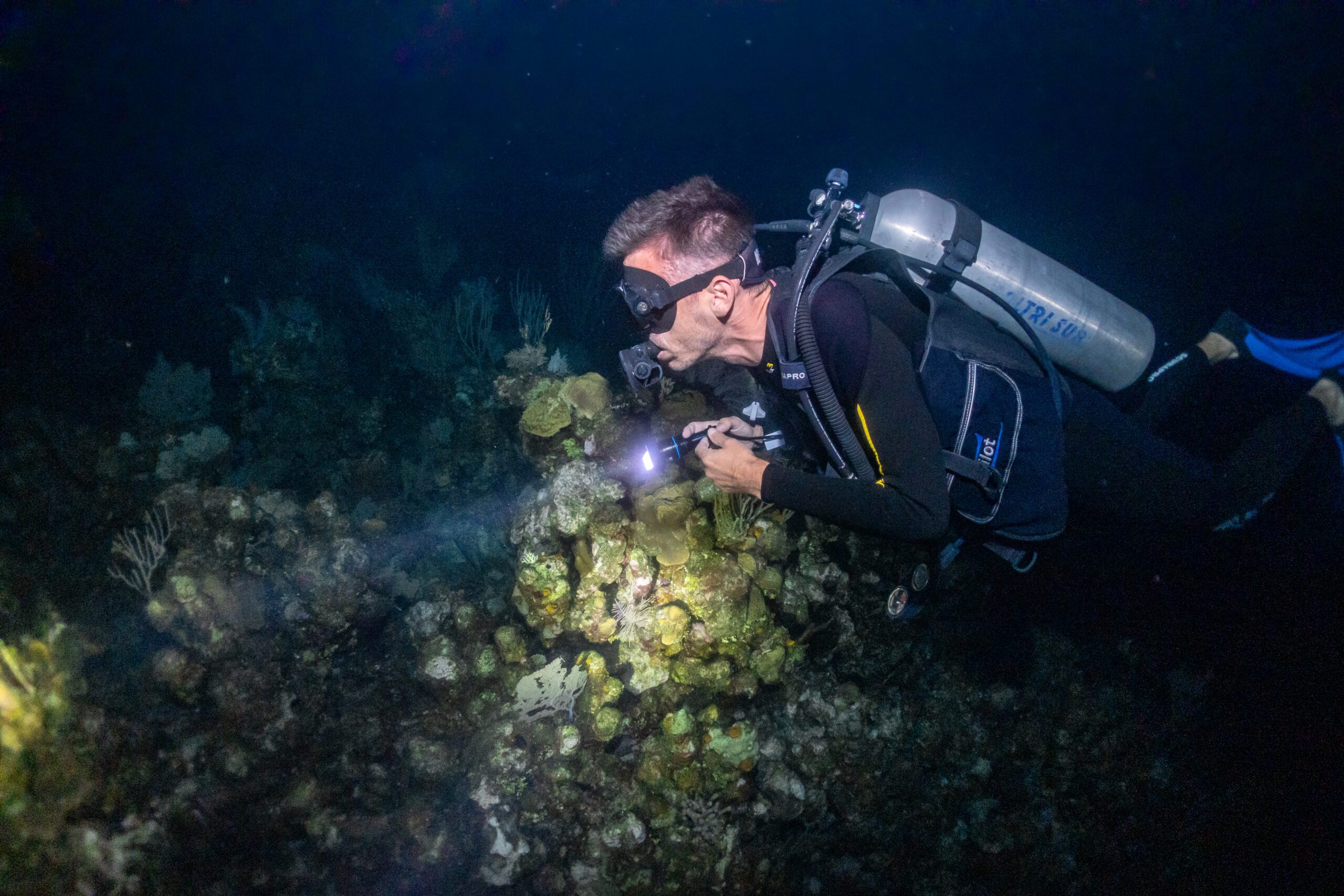 Night Diver Specialty | Honduras Scuba Certification