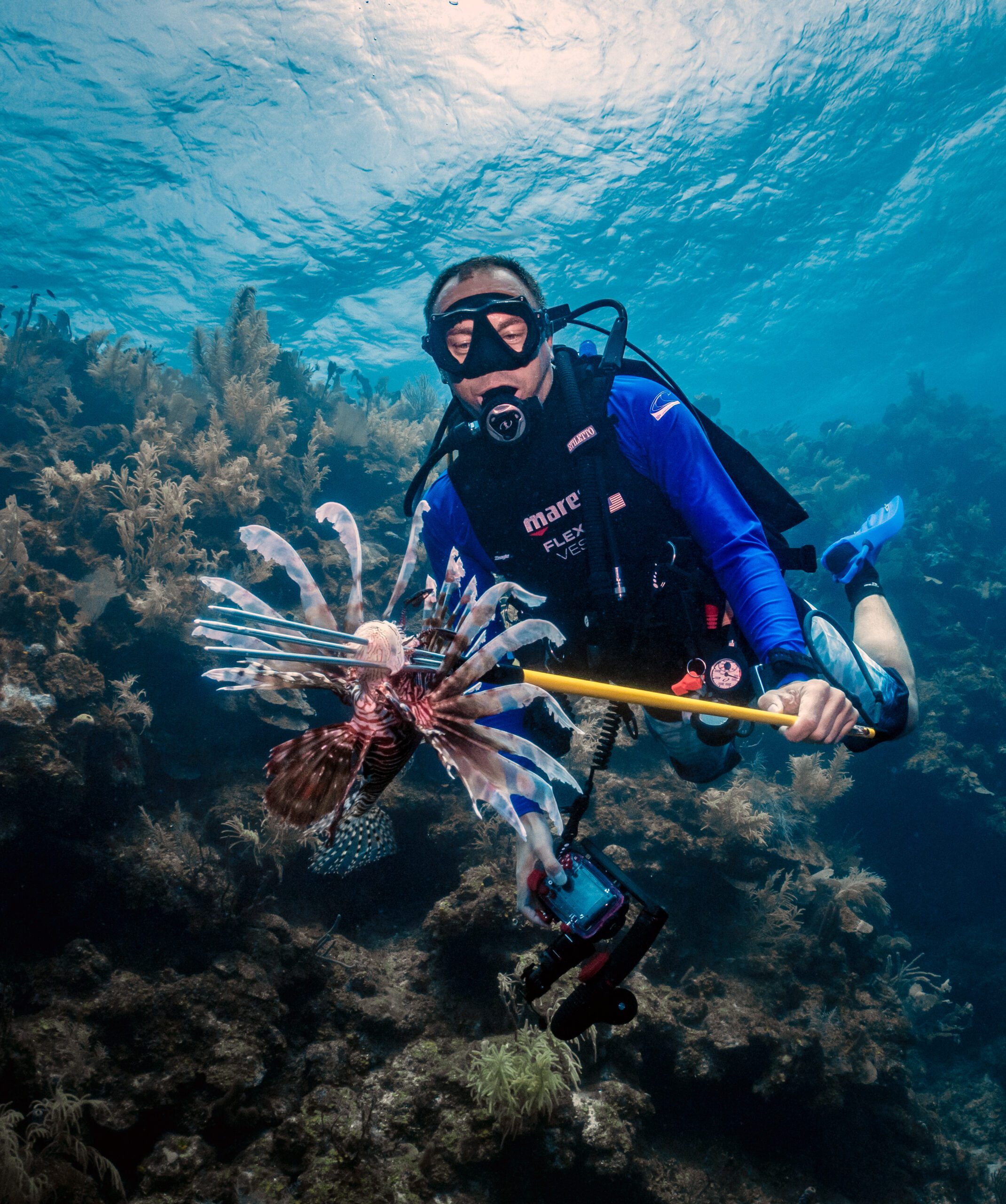 Diver holds out a spear with a lionfish in Roatan.