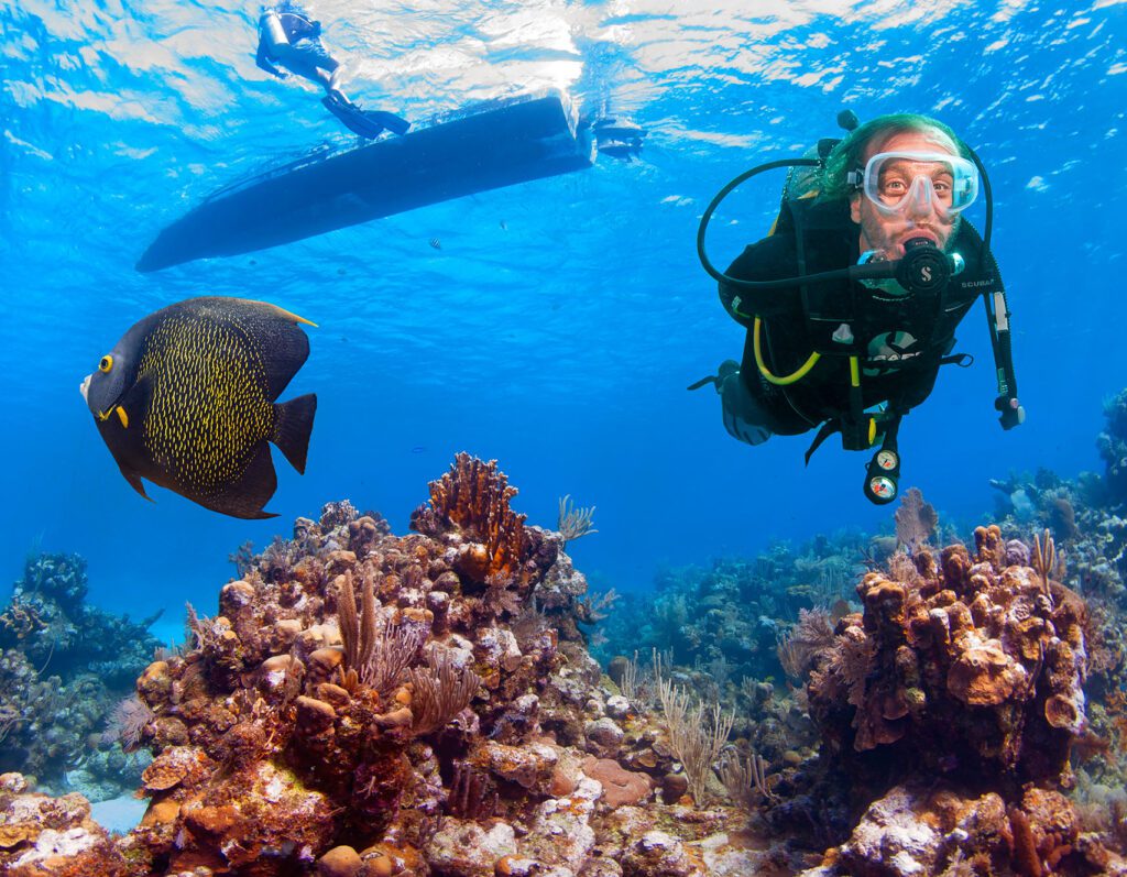 When is the Best Time to Dive in Roatán?