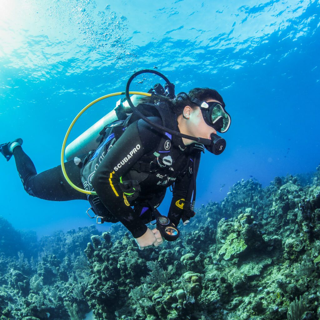 Do You Need a Wetsuit to Dive in Roatan?