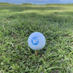 Close up shot of a golf ball on a tee with the Sun Divers logo