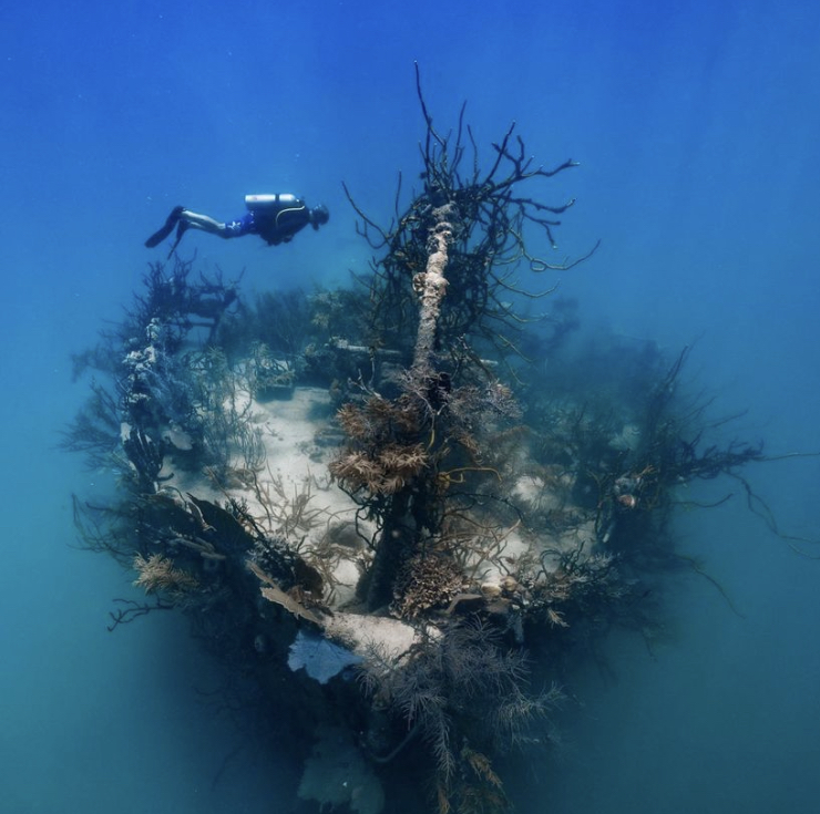 A scuba diver is floating above the impressive Prince Albert shipwreck that lies in Roatan, Honduras.