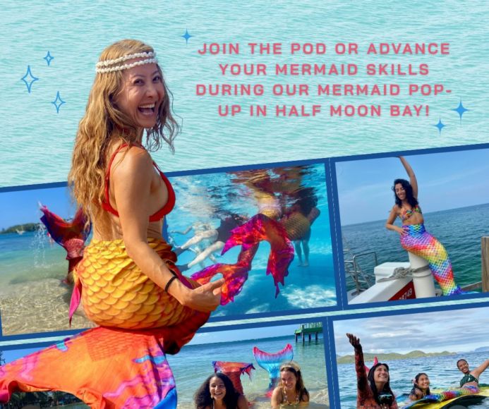 Sun Divers Roatan Brings the Magic of Mermaiding to the Caribbean with the Inaugural Mer-May-d Marathon