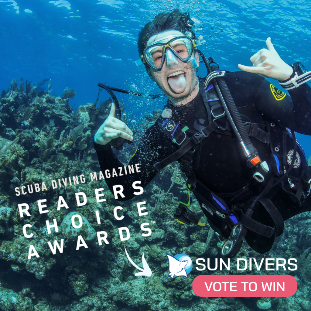 Voter’s Guide: 2027 Scuba Diving Reader’s Choice Awards